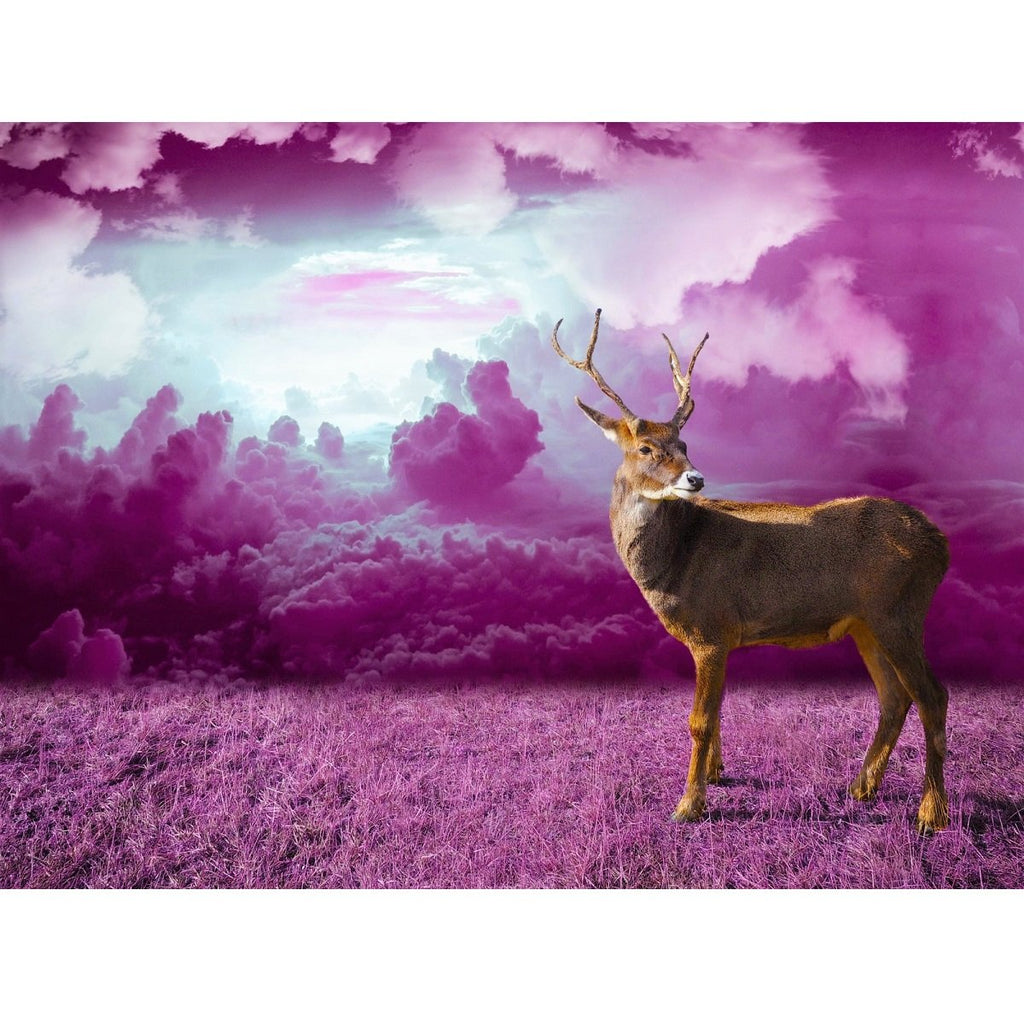 Hjort med purpurfärgad bakgrund Hjort med purpurfärgad bakgrund Diamantmålning | Eget foto diamantmålnings | Diamond painting | Fyndiq | Sverige