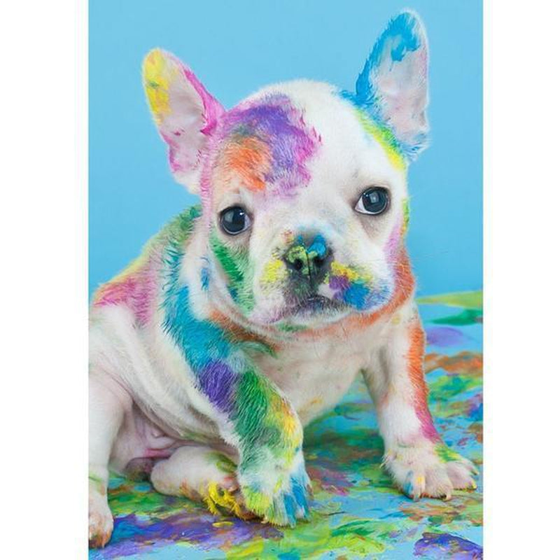 Hund med färg Hund med färg Diamantmålning | Eget foto diamantmålnings | Diamond painting | Fyndiq | Sverige