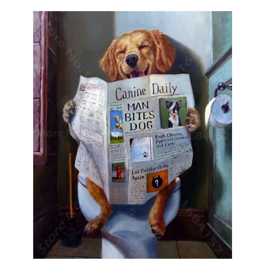 Hund på toaletten Hund på toaletten Diamantmålning | Eget foto diamantmålnings | Diamond painting | Fyndiq | Sverige