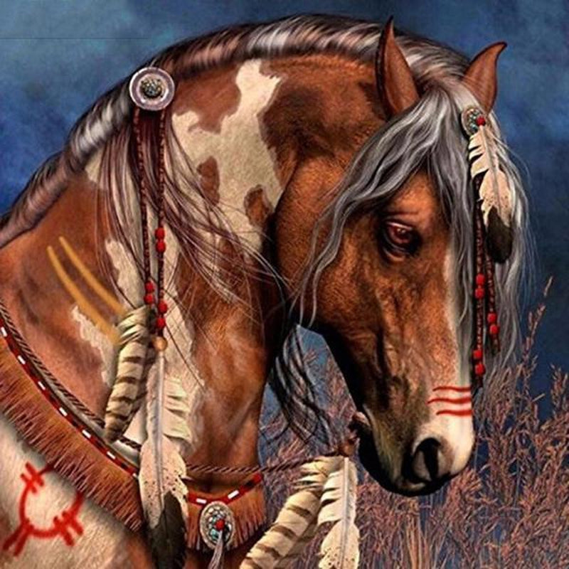 Indian häst Indian häst Diamantmålning | Eget foto diamantmålnings | Diamond painting | Fyndiq | Sverige