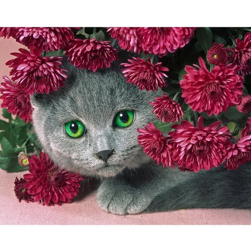 Katt med blommor Katt med blommor Diamantmålning | Eget foto diamantmålnings | Diamond painting | Fyndiq | Sverige