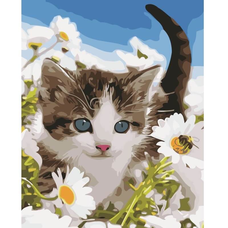 Kattunge - Måla efter nummer Kattunge - Måla efter nummer Diamantmålning | Eget foto diamantmålnings | Diamond painting | Fyndiq | Sverige