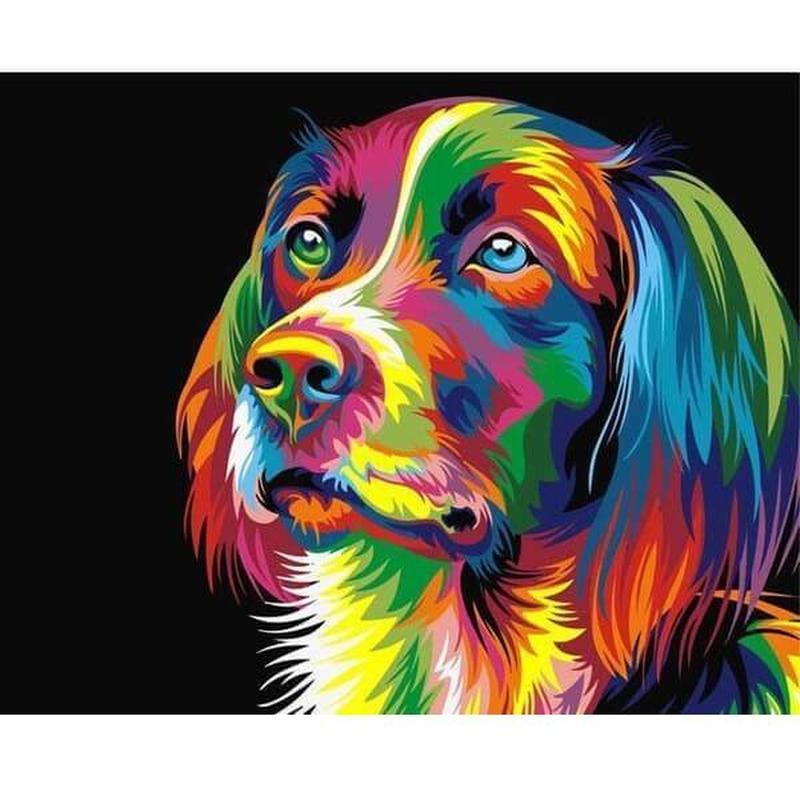 Kleurrijke hond - Schilderen op nummer Diamond painting | Eigen foto | Dieren | Kopen | Dikke dames | Action | Nederland | Steentjes | Diamant | De Diamond Painter