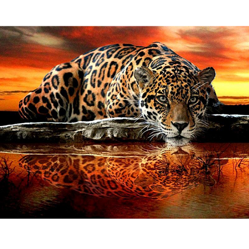 Leopard Leopard Diamantmålning | Eget foto diamantmålnings | Diamond painting | Fyndiq | Sverige