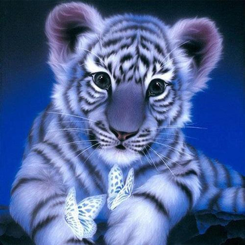 Tigerunge Tigerunge Diamantmålning | Eget foto diamantmålnings | Diamond painting | Fyndiq | Sverige